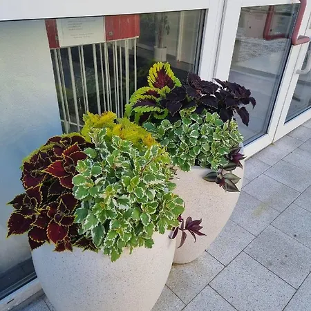 Bordo Apartman A4 V Chomutove Exterior photo