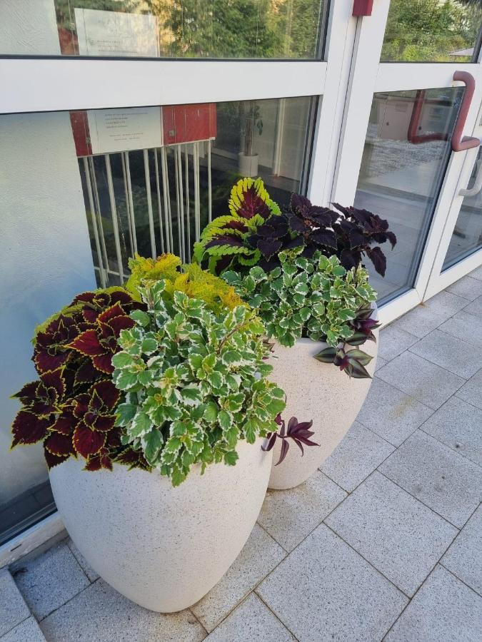 Bordo A4 V Chomutove Apartment *